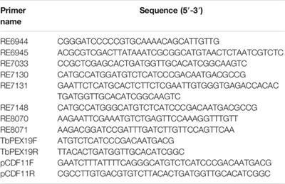 Novel Trypanocidal Inhibitors that Block Glycosome Biogenesis by Targeting PEX3–PEX19 Interaction